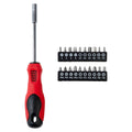 Schroevendraaier en bit set 21 dlg