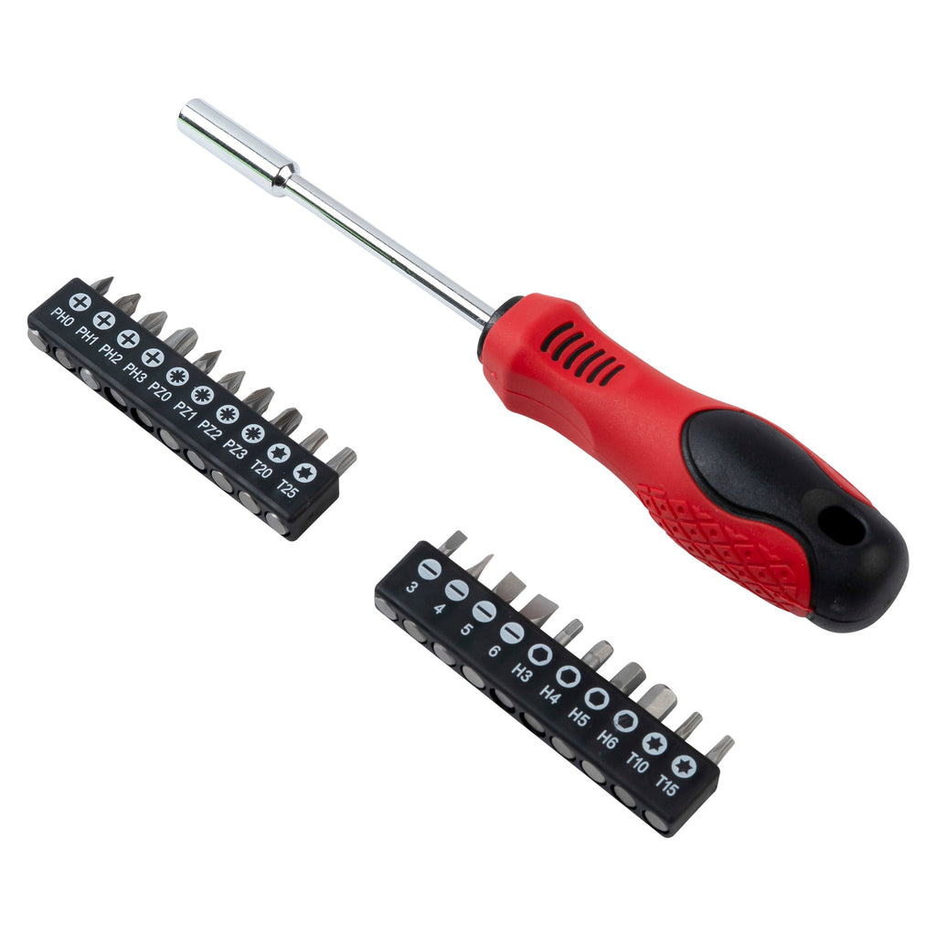 Schroevendraaier en bit set 21 dlg