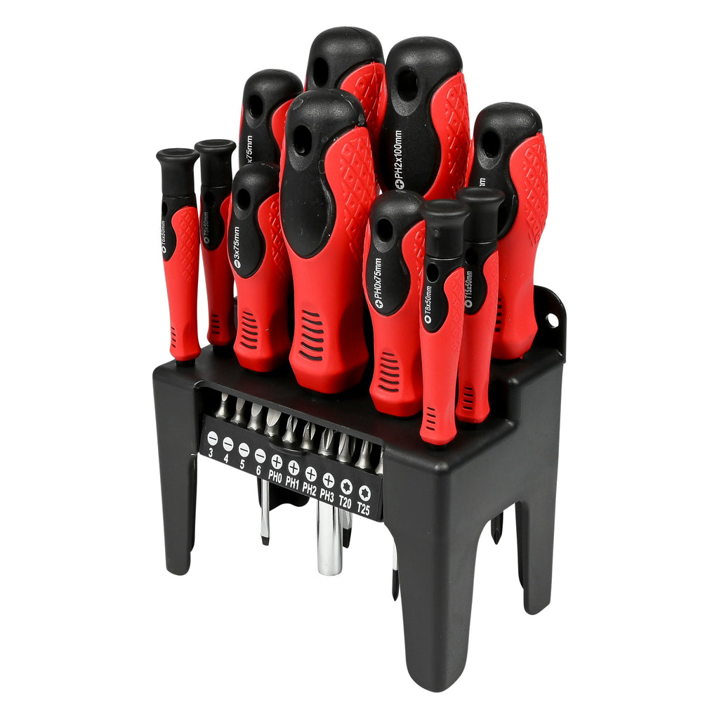 Schroevendraaier en bit set in rek 21 dlg