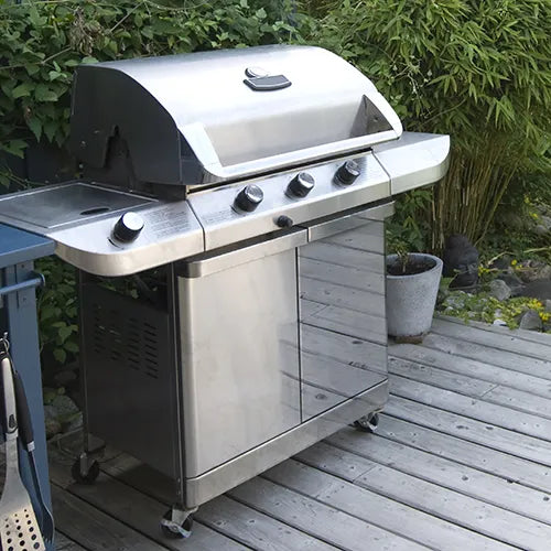 REX 120D + Transporttasche + 4 Bürsten + 1 Mini-Bürste