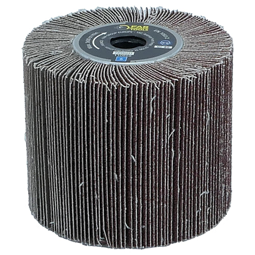 REX 120D + Transporttasche + 4 Bürsten + 1 Mini-Bürste